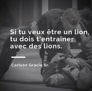 Top 10 Des Meilleures Citations Jjb Jiu Jitsu Bresilien Com