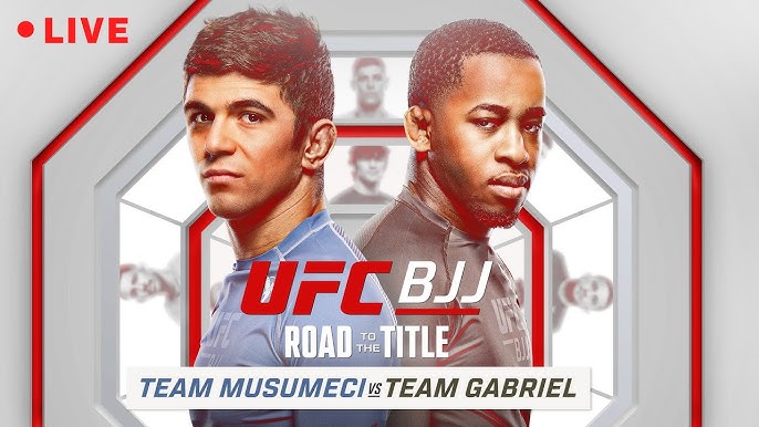 ufc bjj